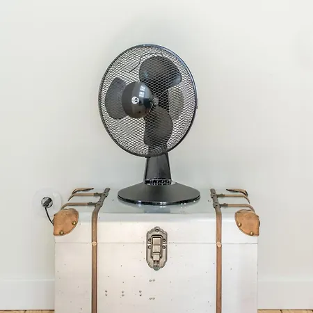 Design In Typical Alfama