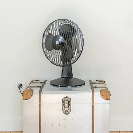 Design In Typical Alfama